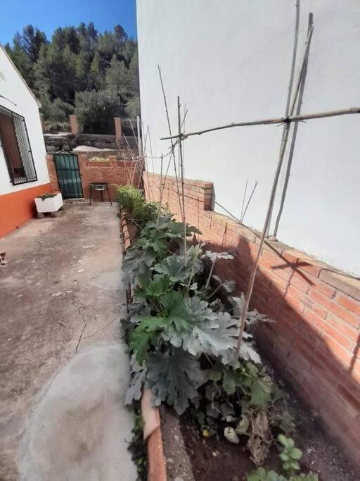 La Casita De La Alqueria, Apartment